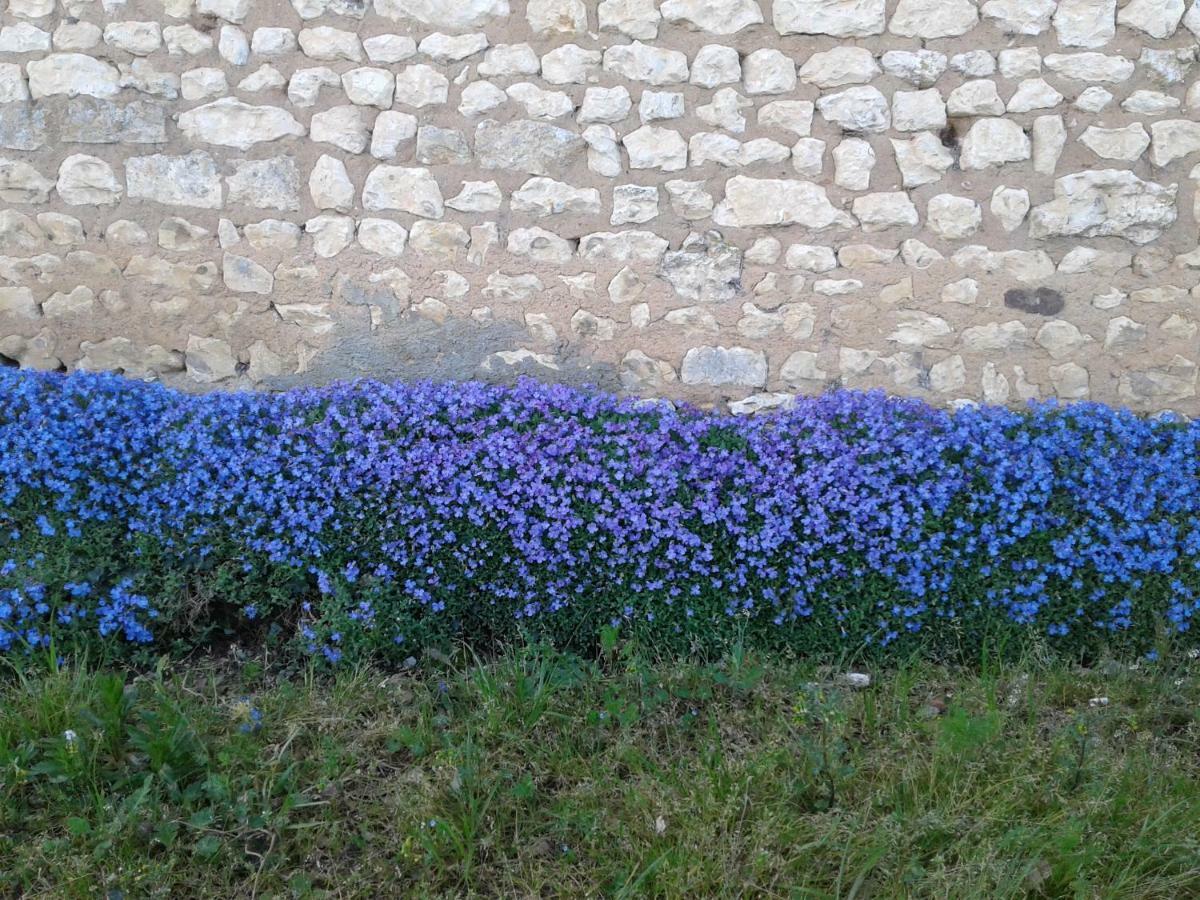 AgudelleFleur Du Soleil别墅 外观 照片